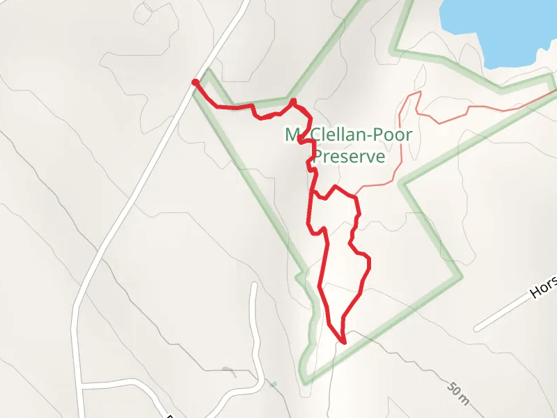Peggity's Path Loop