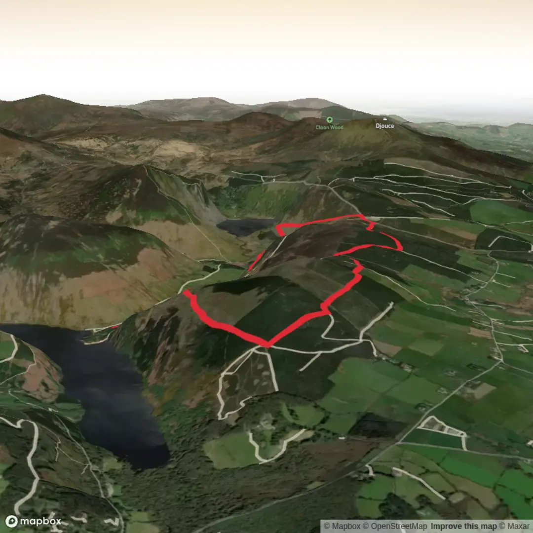 An image depicting the trail Bluebell walk to Luggala and its surrounding area.