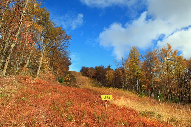 Meade's Mountain Loop