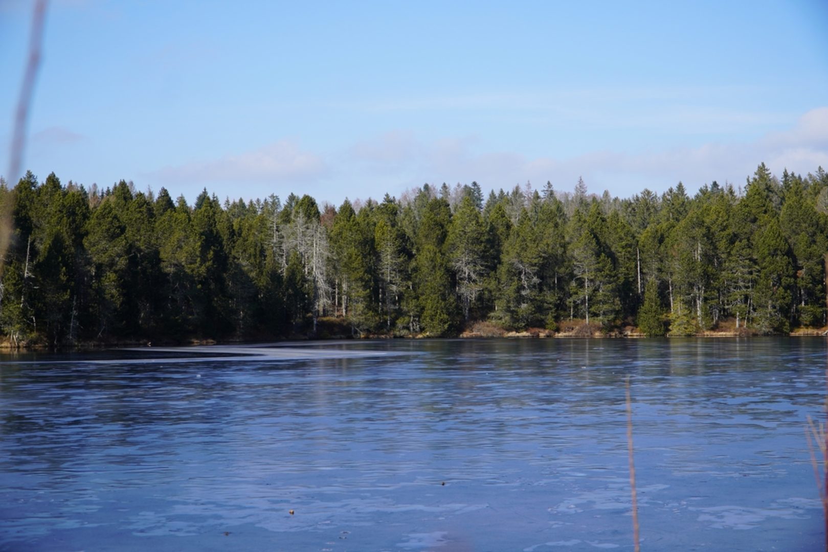 An image depicting the trail Etang de la Gruère and its surrounding area.