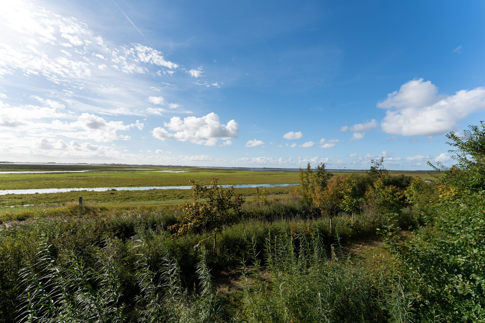 An image depicting the trail New Robbengat and Lauwersoogbos Loop and its surrounding area.