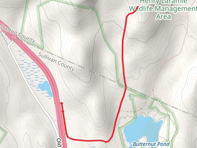 Butternut Pond and Prospect Hill