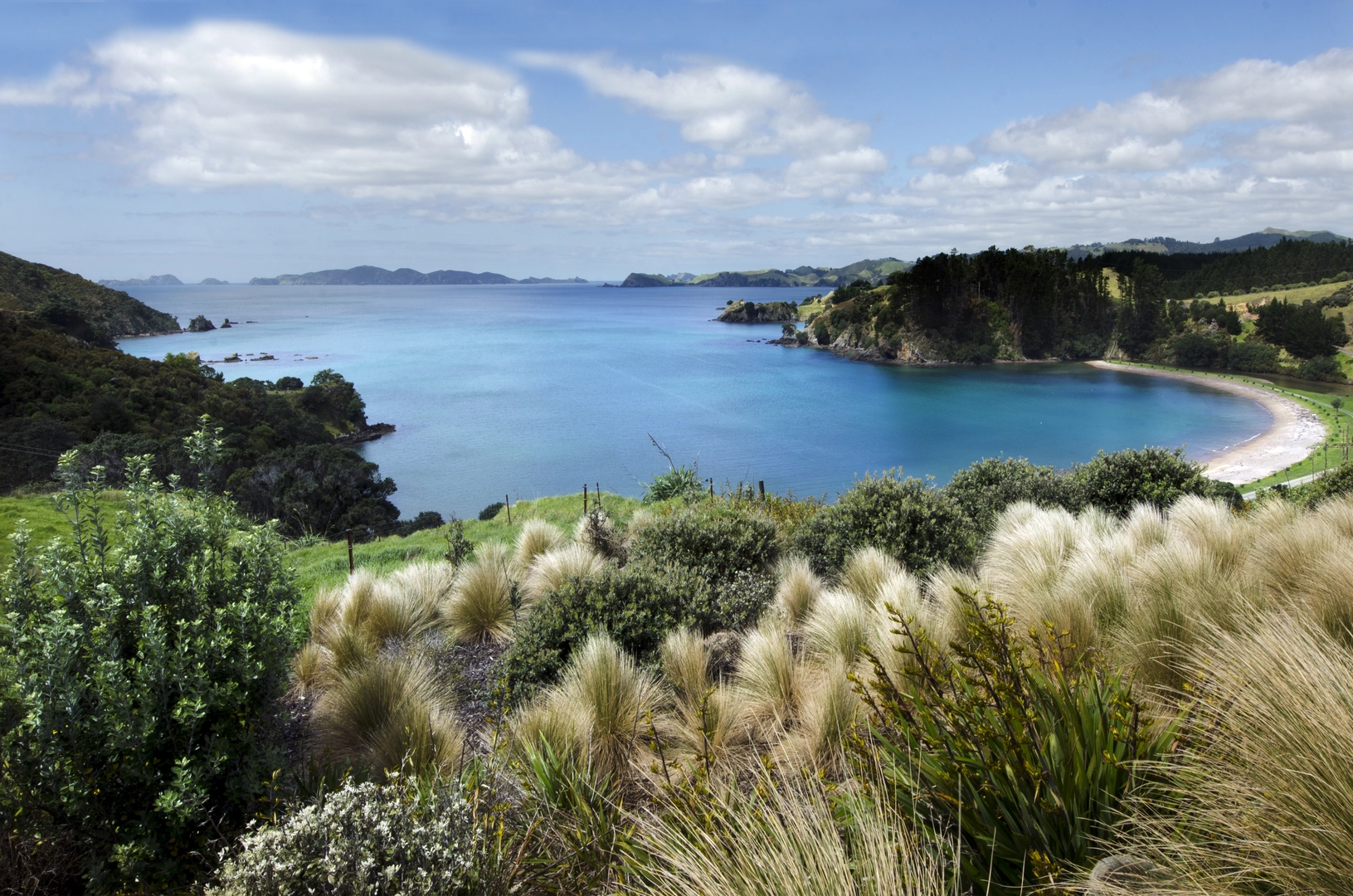 An image depicting the trail Mahinepua Peninsula Track and its surrounding area.