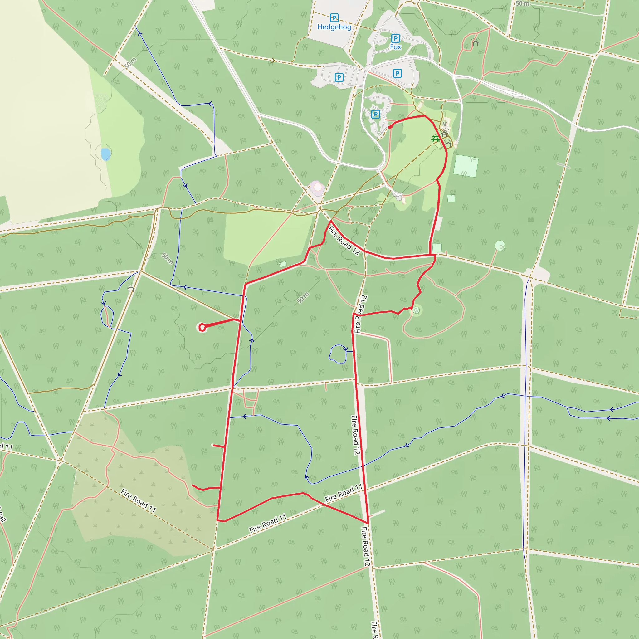 Fit Trail mobile static map