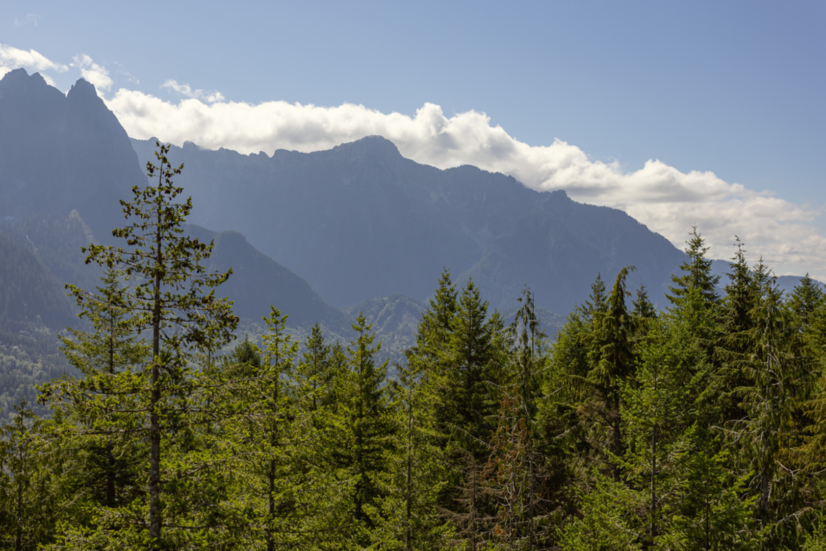 An image depicting the trail Heybrook Lookout Trail and its surrounding area.