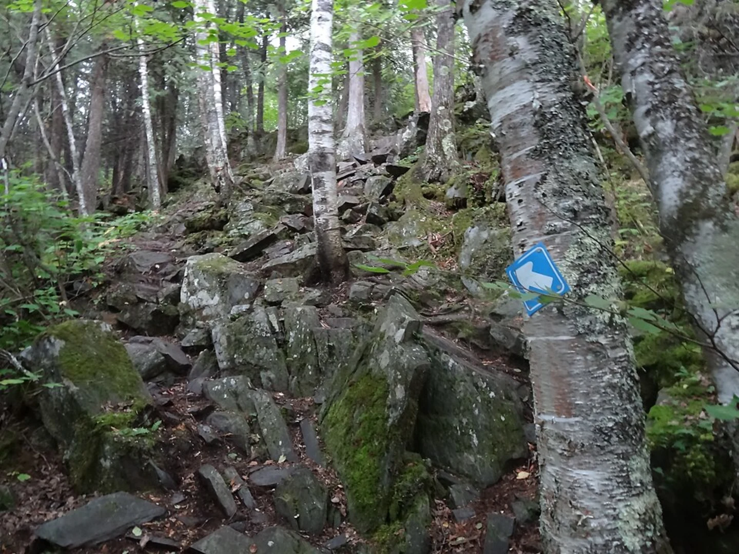 An image depicting the trail Hunts Lake Trail and its surrounding area.