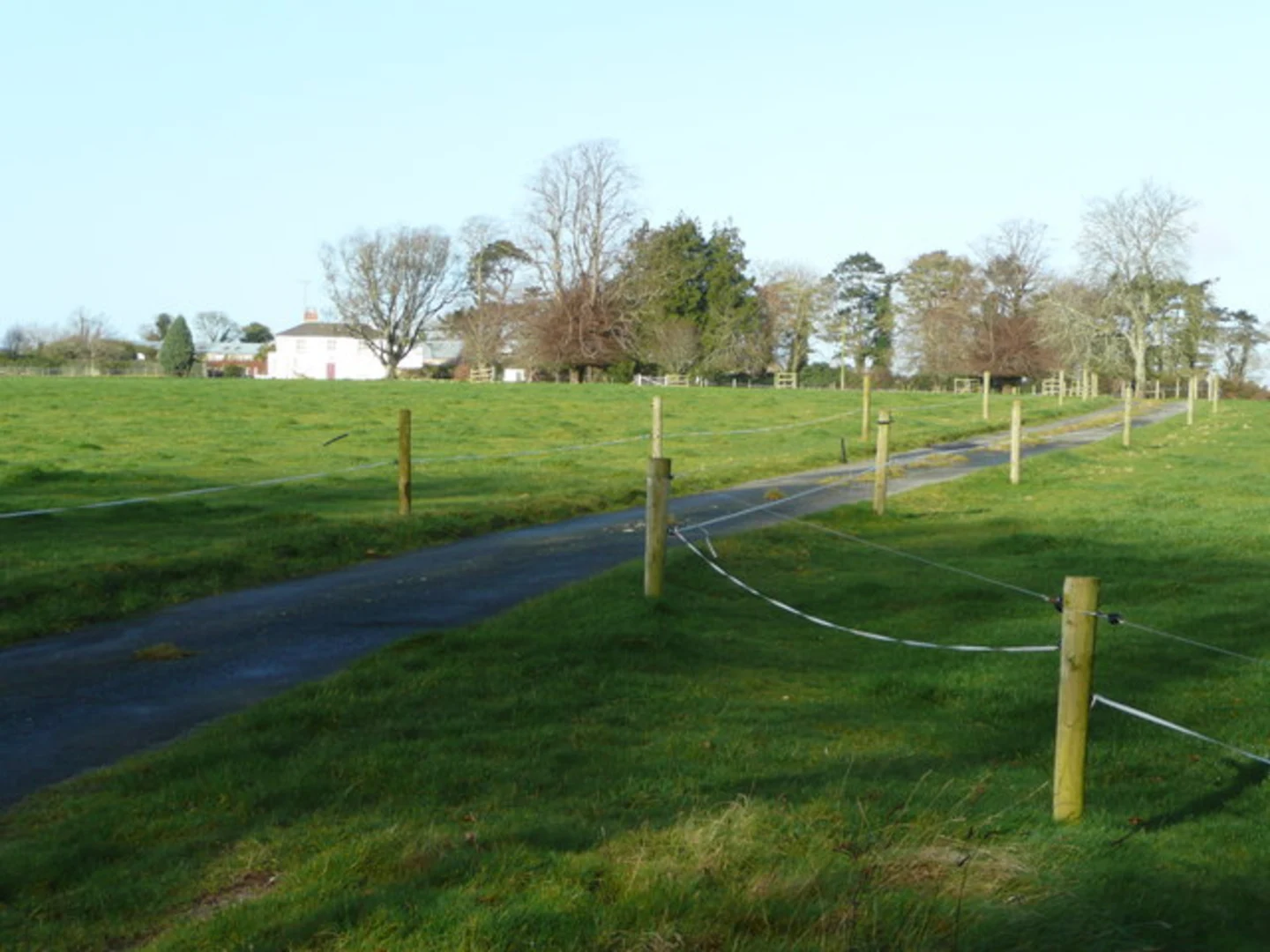 An image depicting the trail Coolgreany Ballyfad Wood Beech Trail and its surrounding area.