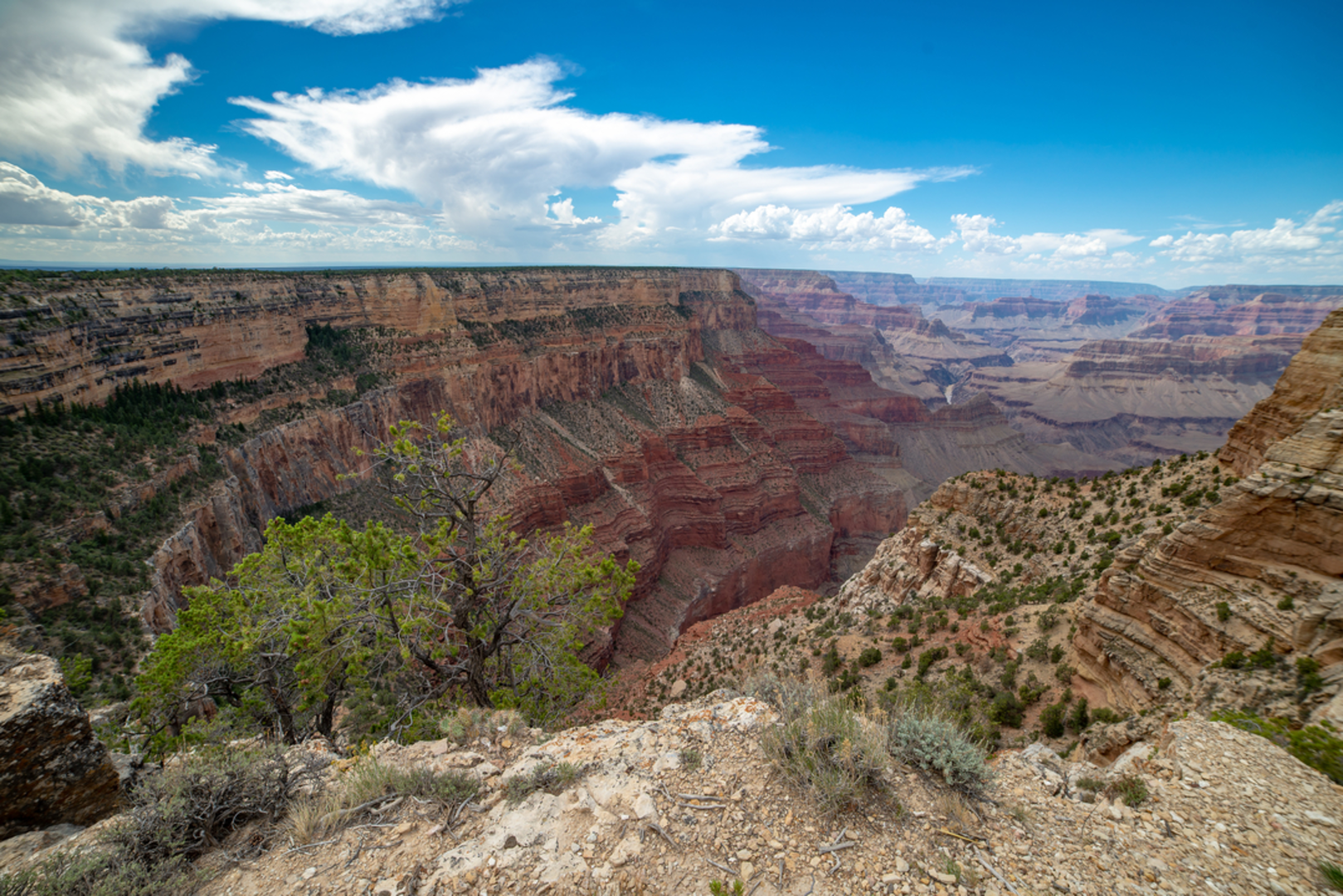 An image depicting the trail Waldron Trail via Hermit Trail and its surrounding area.