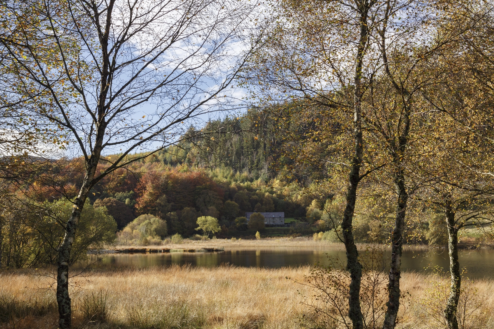 An image depicting the trail Four Lakes of the Gwydir Forest and its surrounding area.