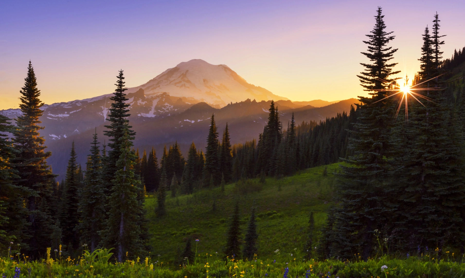 An image depicting the trail Naches Pass West Trail and its surrounding area.