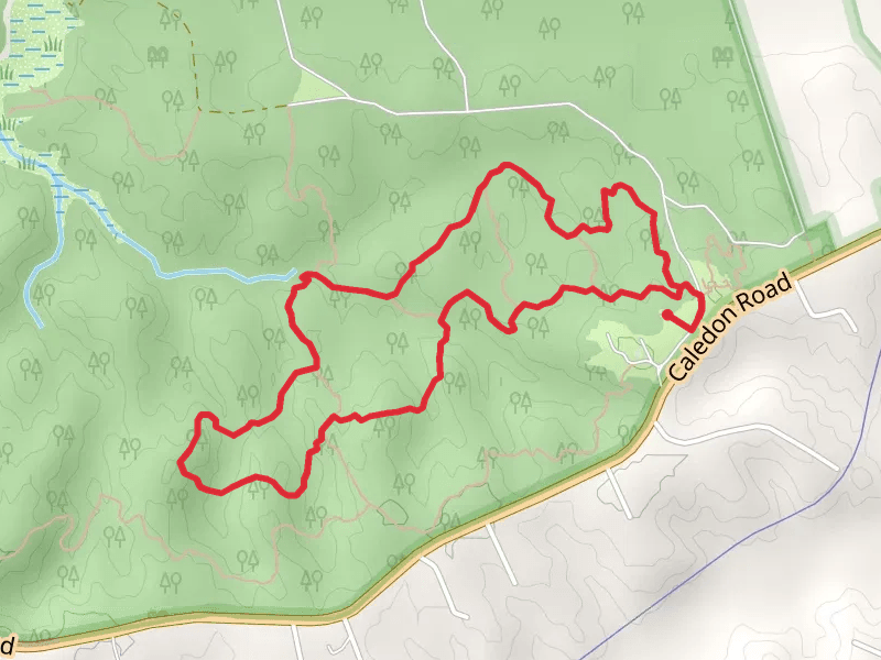 Cedar Ridge via Laurel Glen Loop