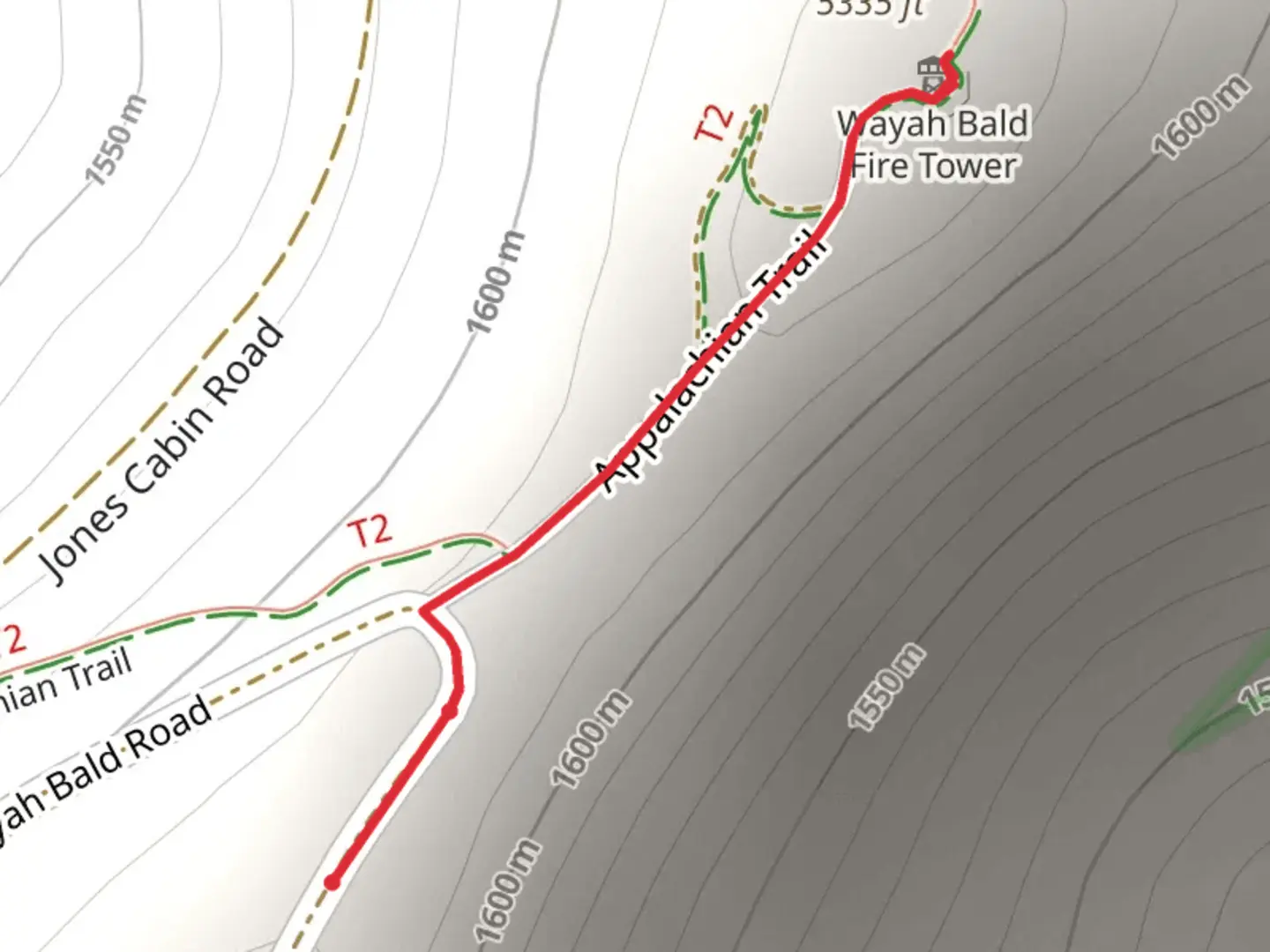 An image depicting the trail Wayah Bald and its surrounding area.
