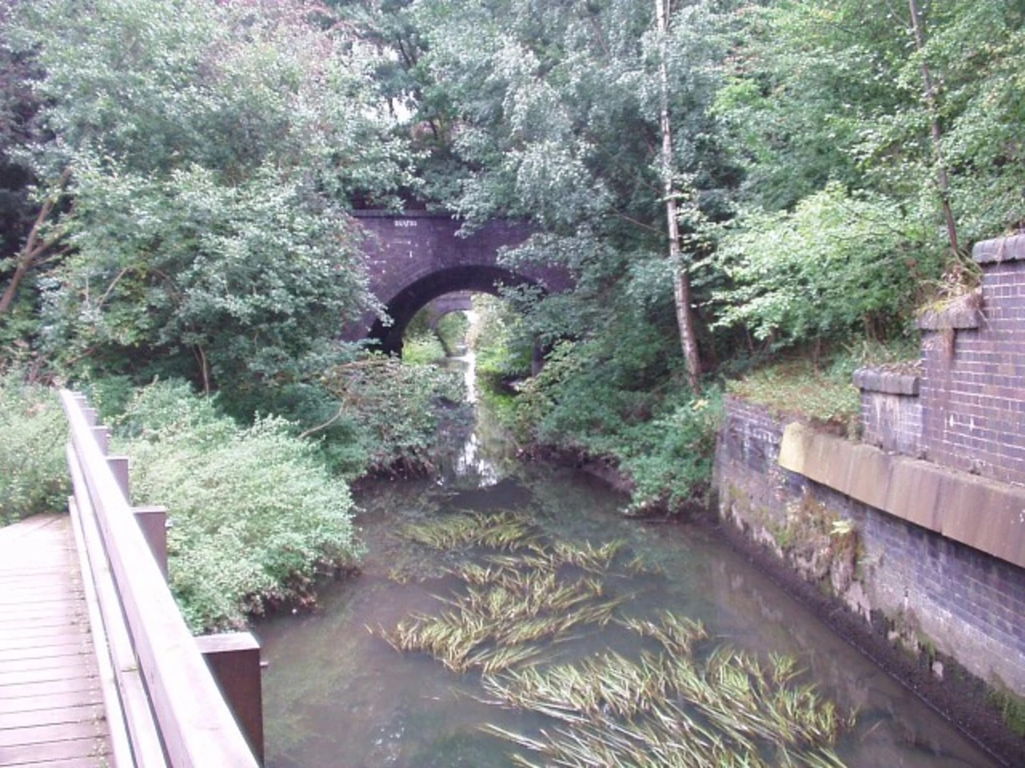 An image depicting the trail Potteric Carr Nature Reserve and its surrounding area.