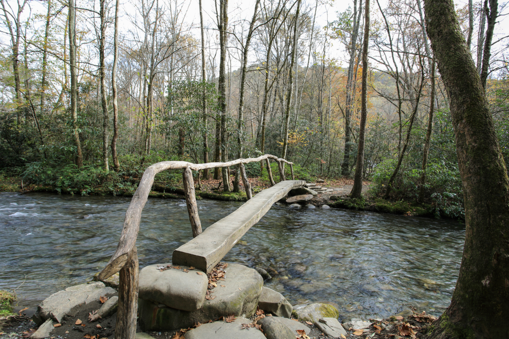 An image depicting the trail Bradley Fork and Chasteen Creek Loop Trail and its surrounding area.