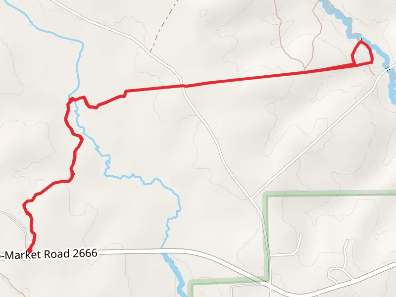 Lone Star Hiking Trail and Pine Trail