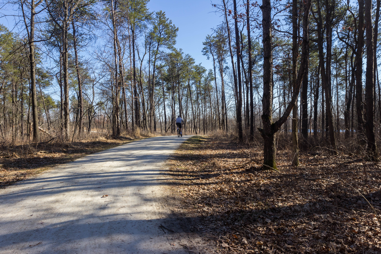 An image depicting the trail Des Plaines River Trail and its surrounding area.