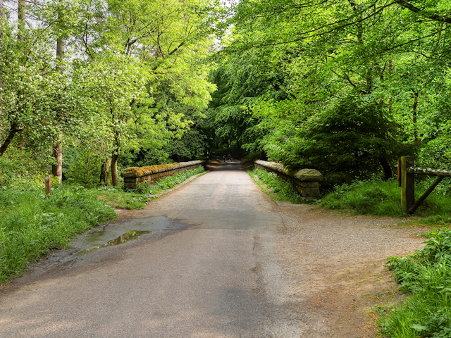 An image depicting the trail Alport Castles and Derwent Valley Loop from Derwent Visitor Center and its surrounding area.