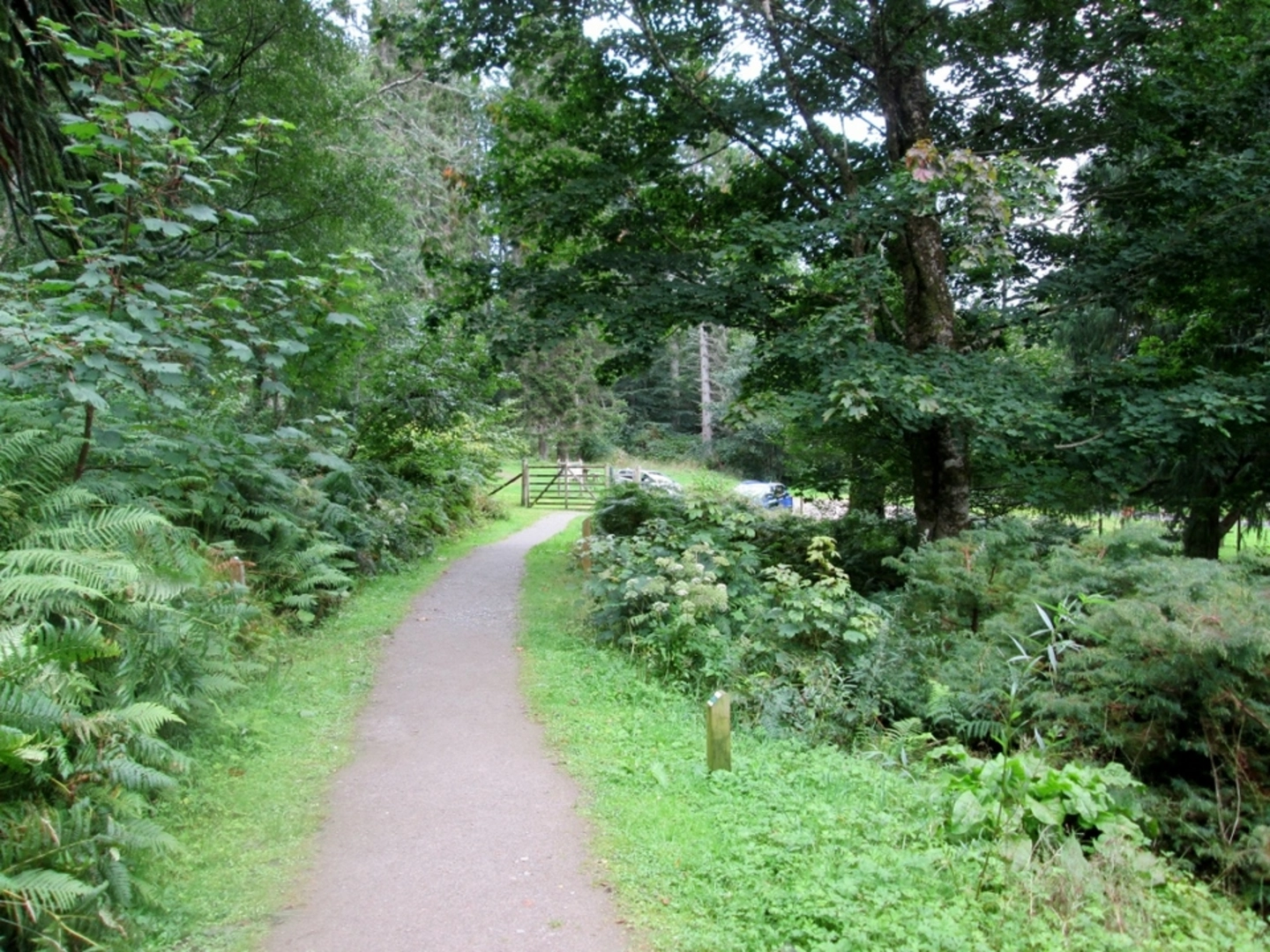 An image depicting the trail Gorge Trail - Auchindrean and its surrounding area.