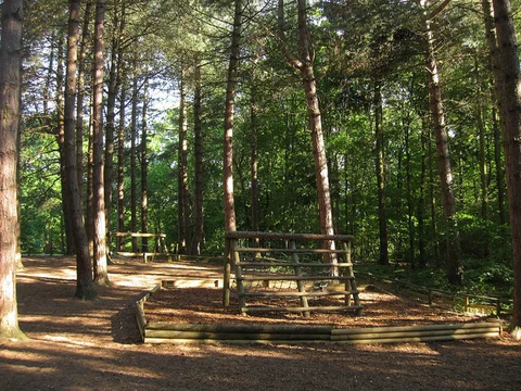 Abbot's Wood Loop