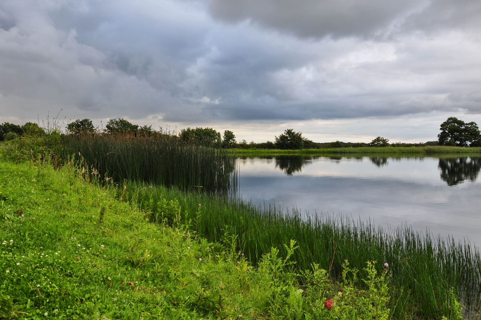 An image depicting the trail Hessle to Filey Walk and its surrounding area.