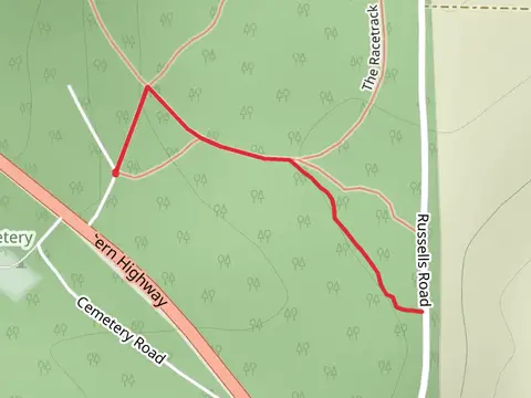 Kangaroo Paw Walk
