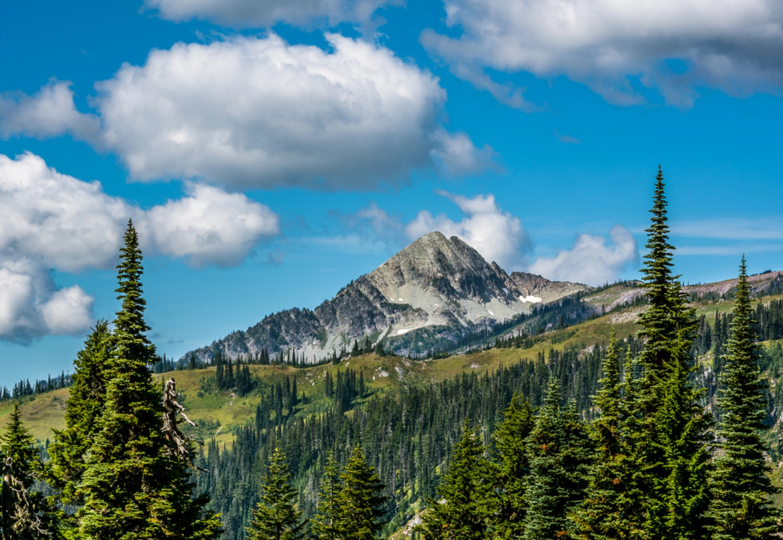 An image depicting the trail Klapatche Park via Emerald Ridge Trail and its surrounding area.
