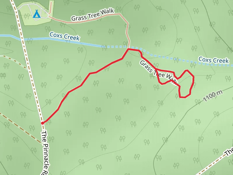 Grass Tree Track