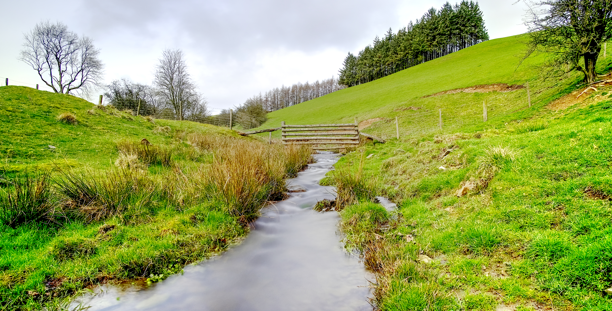 An image depicting the trail Libanus to Lloyney Walk and its surrounding area.