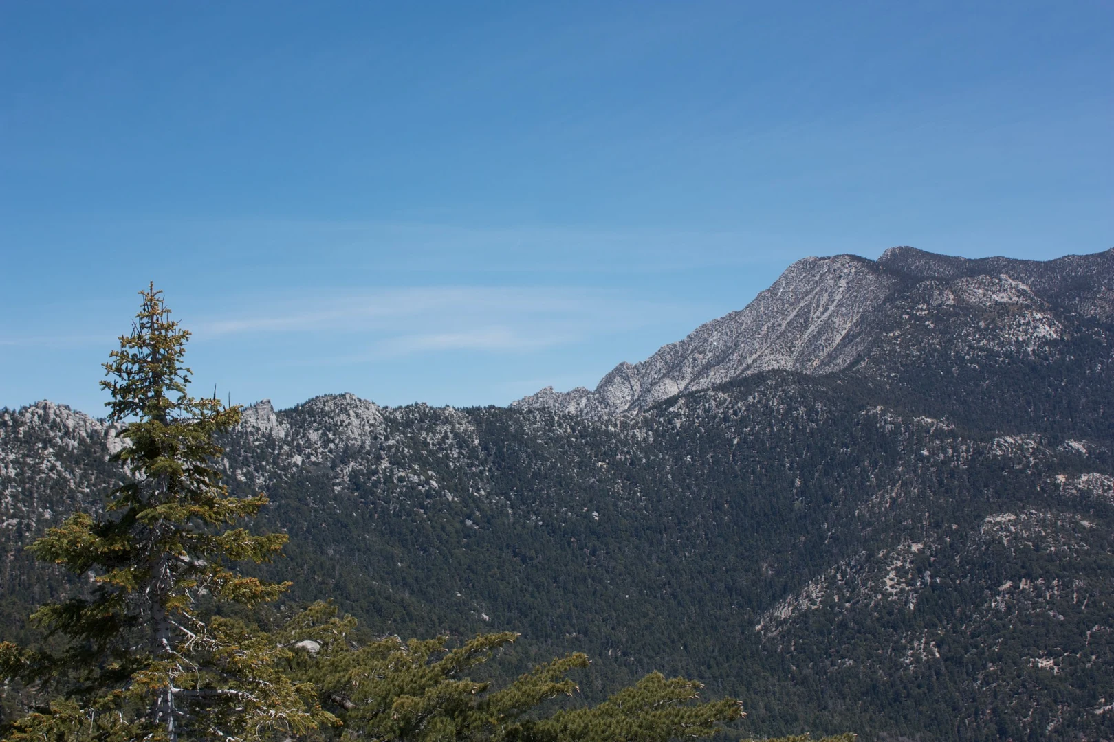 An image depicting the trail San Jacinto Peak via Round Valley and Devils Slide Trail and its surrounding area.