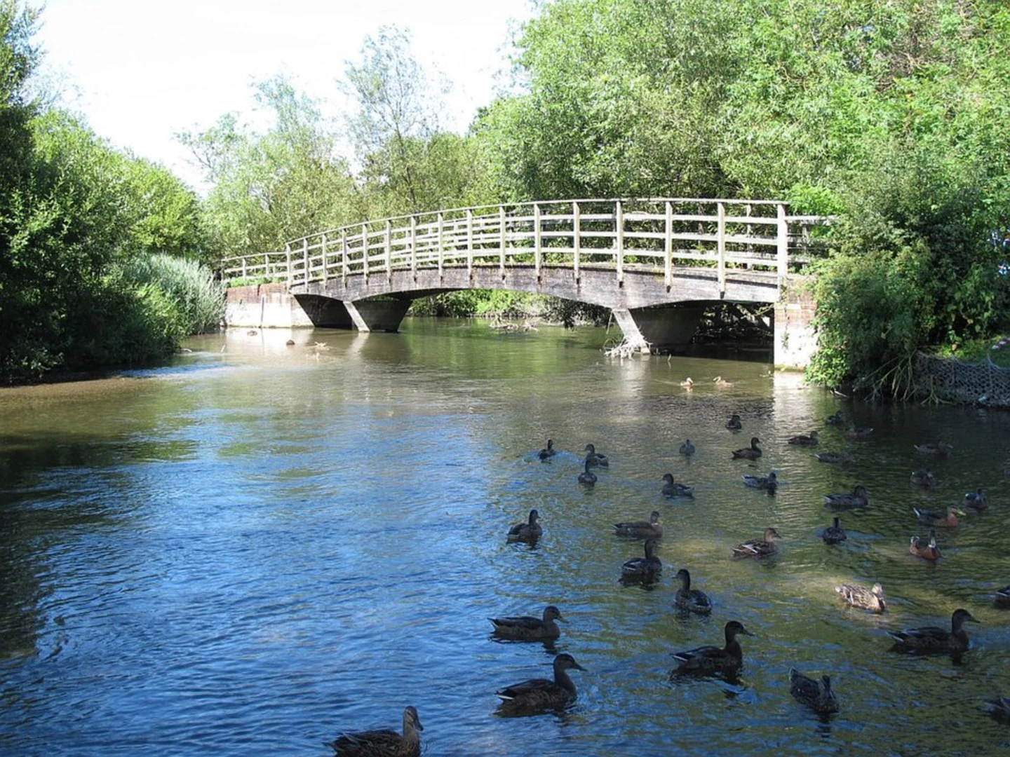 An image depicting the trail River Nadder Loop - Salisbury and its surrounding area.