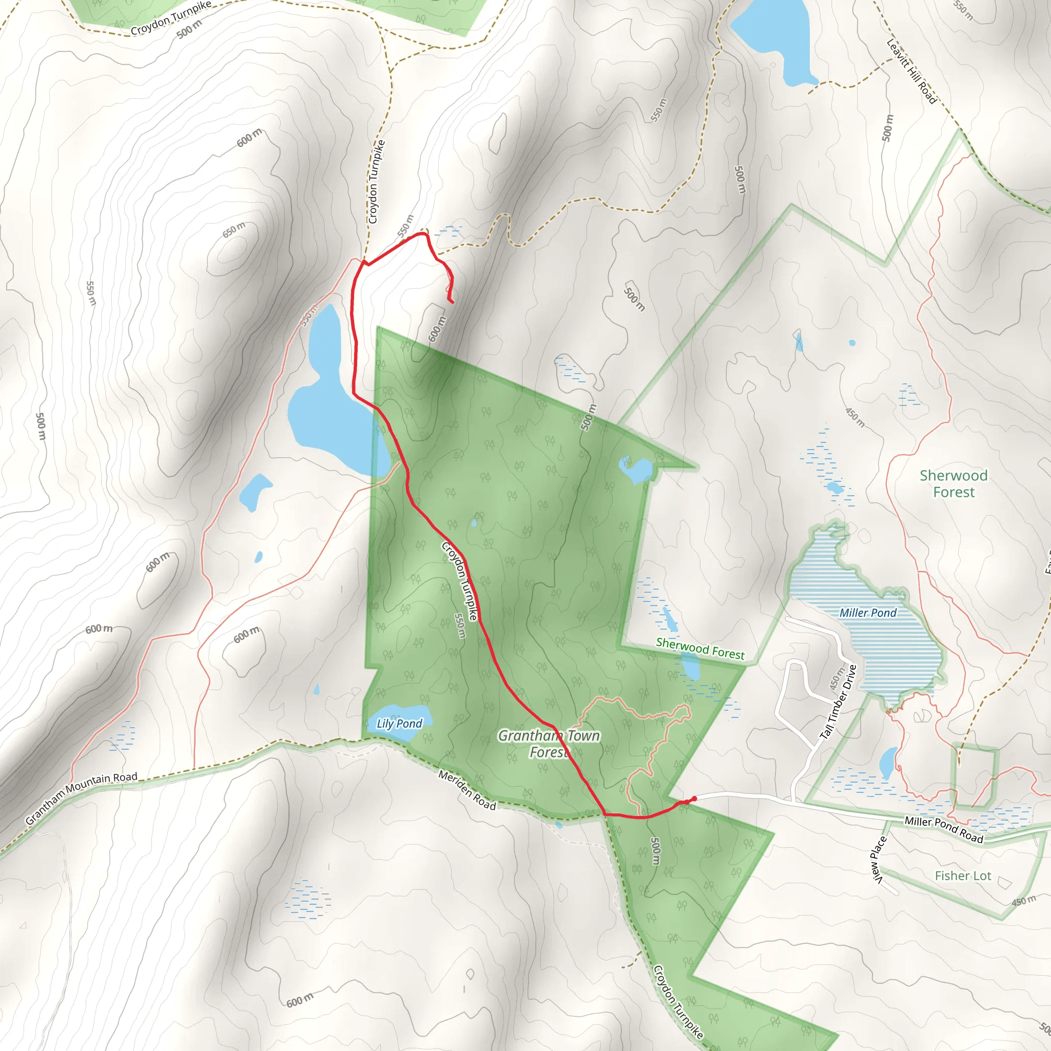 Lewitt Hill Road Trail mobile static map