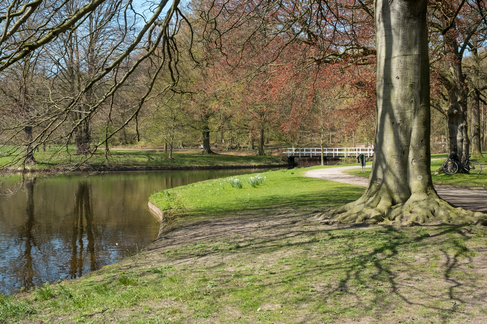 An image depicting the trail Haagse Hout, Landgoed Clingendael, Prinsenberg and Scheveningsche Loop and its surrounding area.