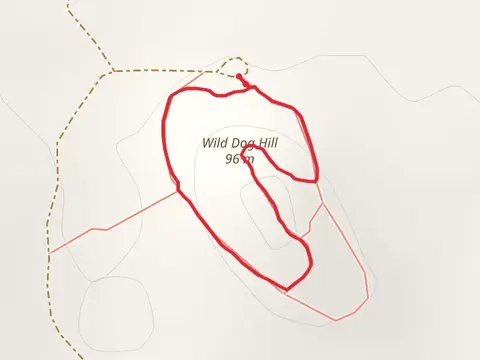 Wild Dog Hill Walk
