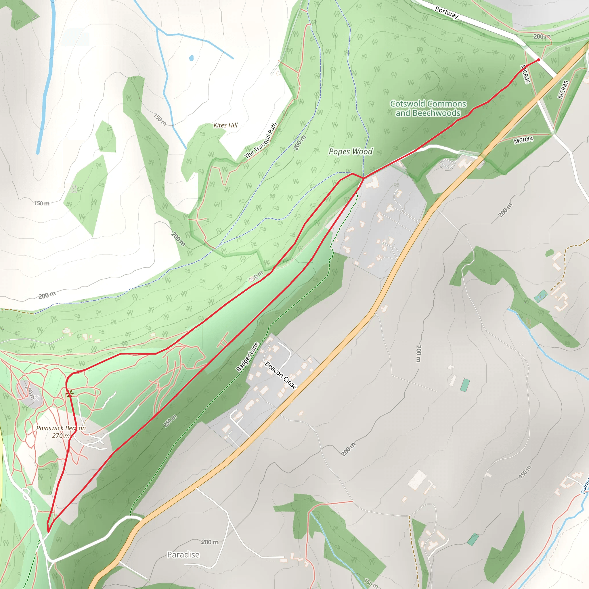 Painswick Beacon Loop mobile static map