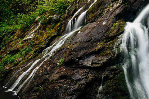 South River Falls and South River Fire Road Loop Trail