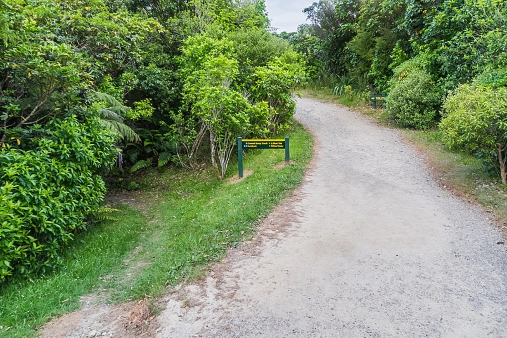 An image depicting the trail Cullen Point Coastal Track and its surrounding area.