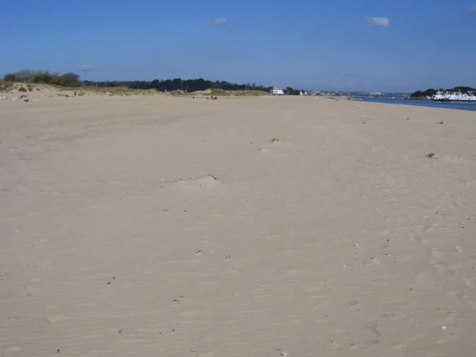 Swanage to South Haven Point Loop