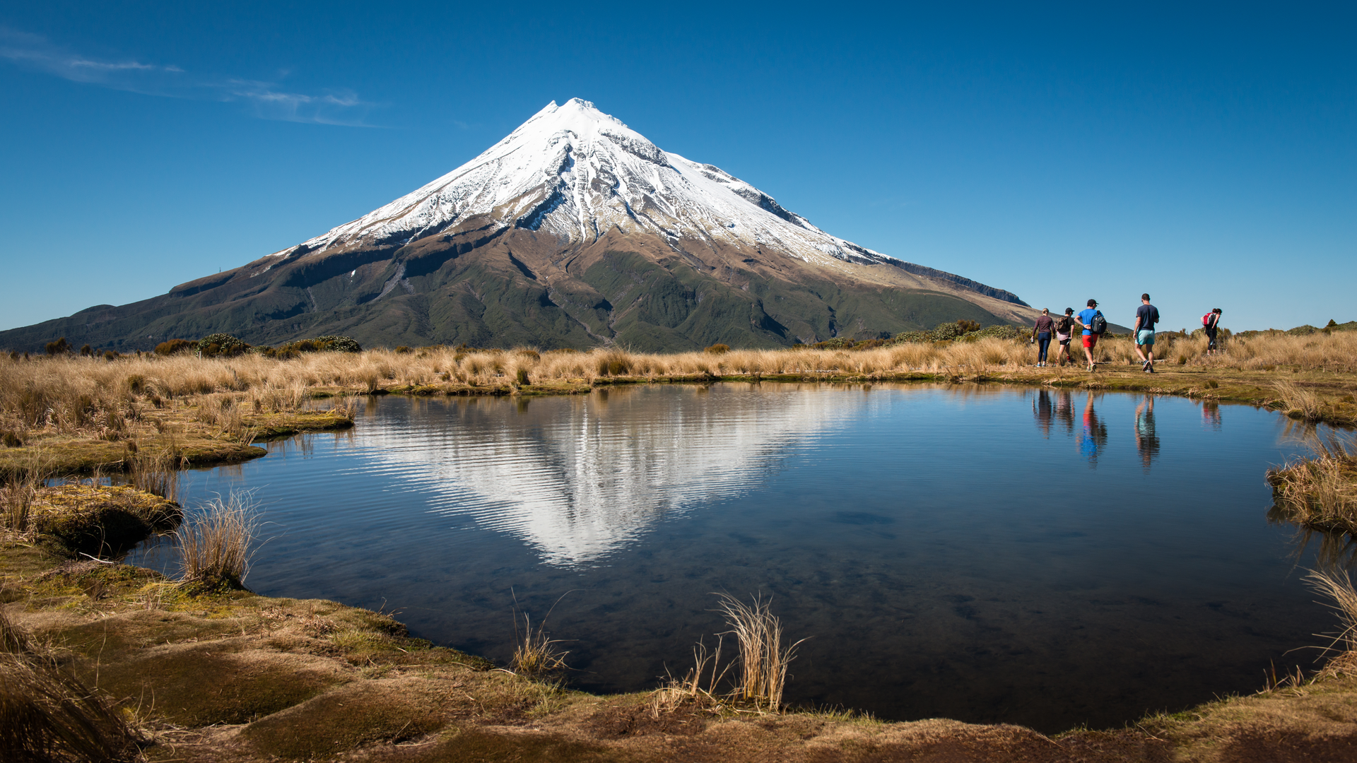 An image depicting the trail Pouakai Tarns via Mangorei Track and Pouakai Hut and its surrounding area.