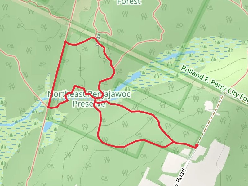 Bangor City Forest Loop