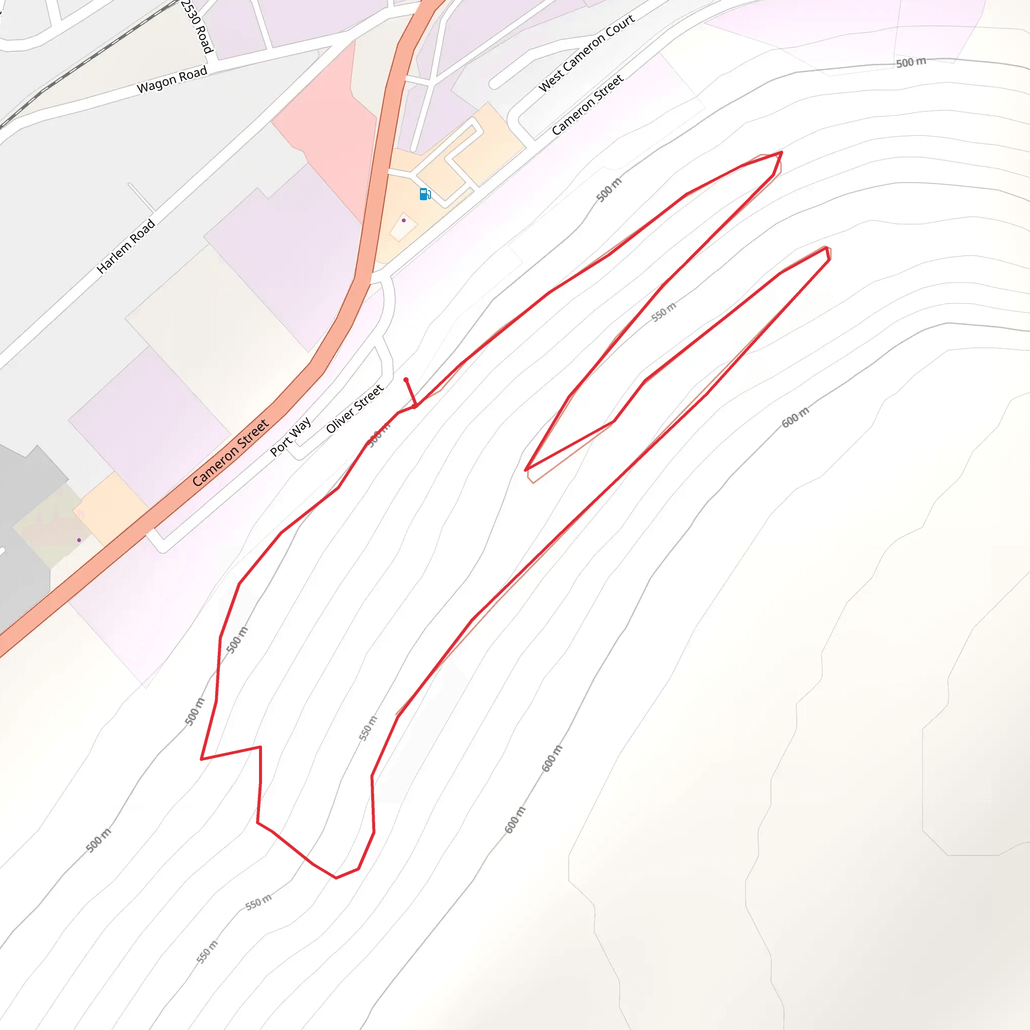 Cameron Street Loop mobile static map
