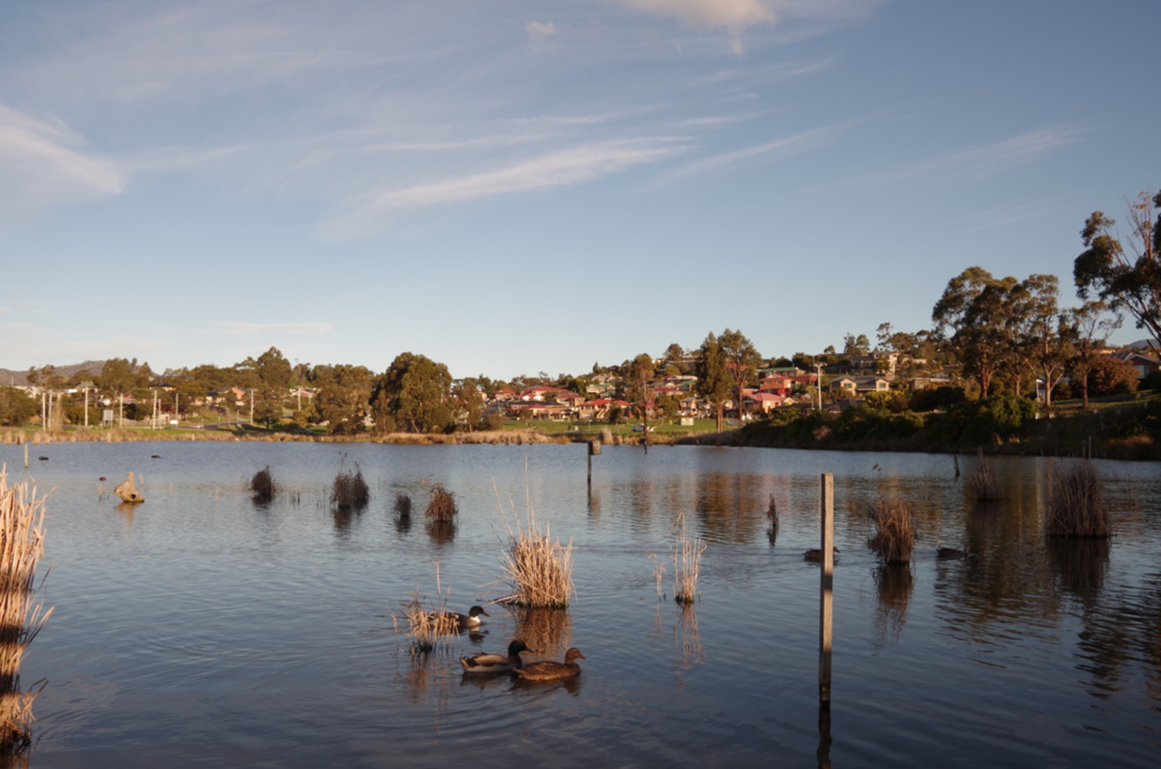 An image depicting the trail Gould's Lagoon Trail and its surrounding area.