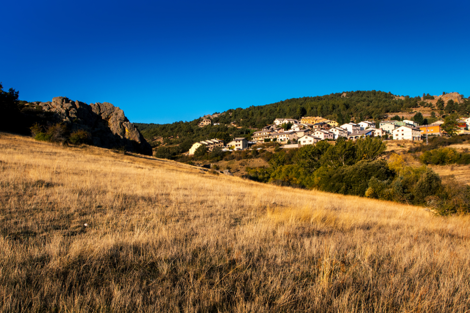 An image depicting the trail Berrocal PR TE 132 and its surrounding area.