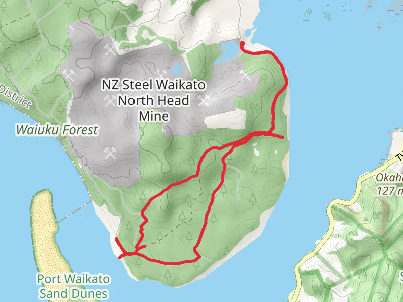 Hike on Waiuku Forest Walk thumbnail