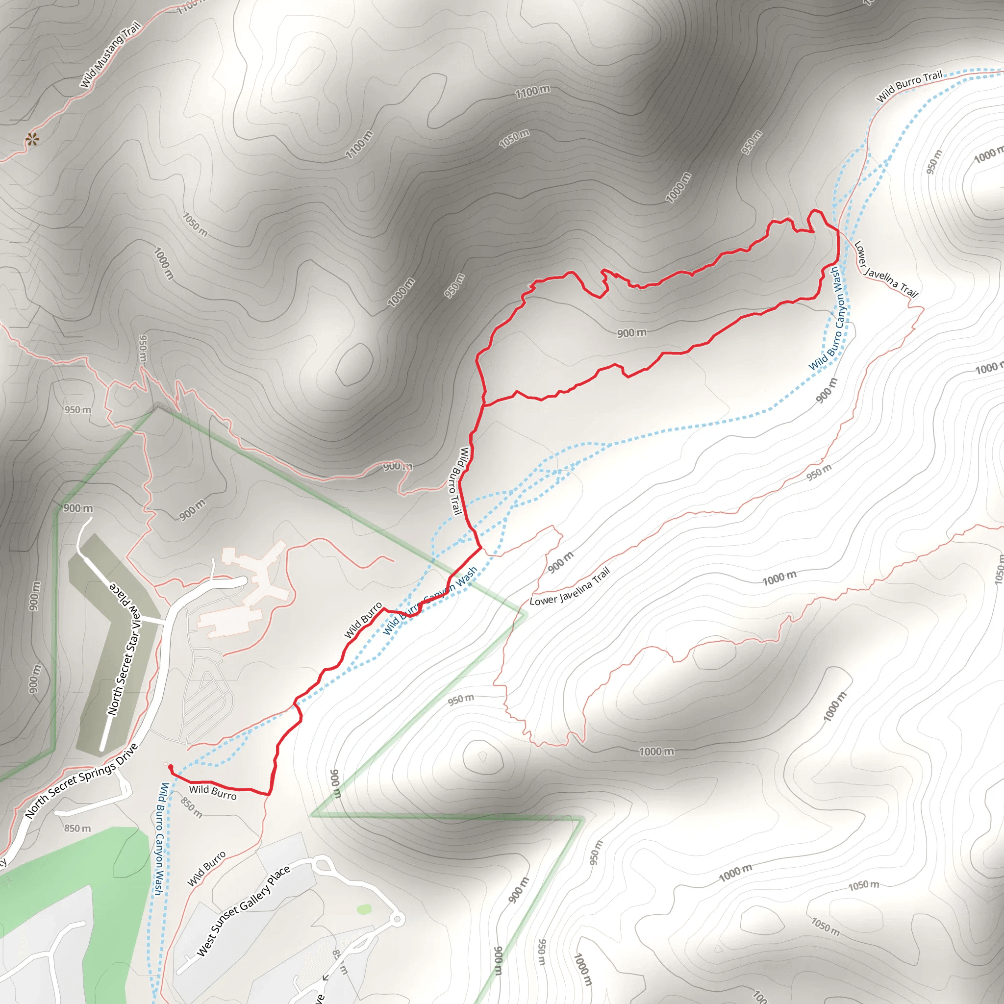 Wild Burro - Lower Javelina Loop Trail mobile static map