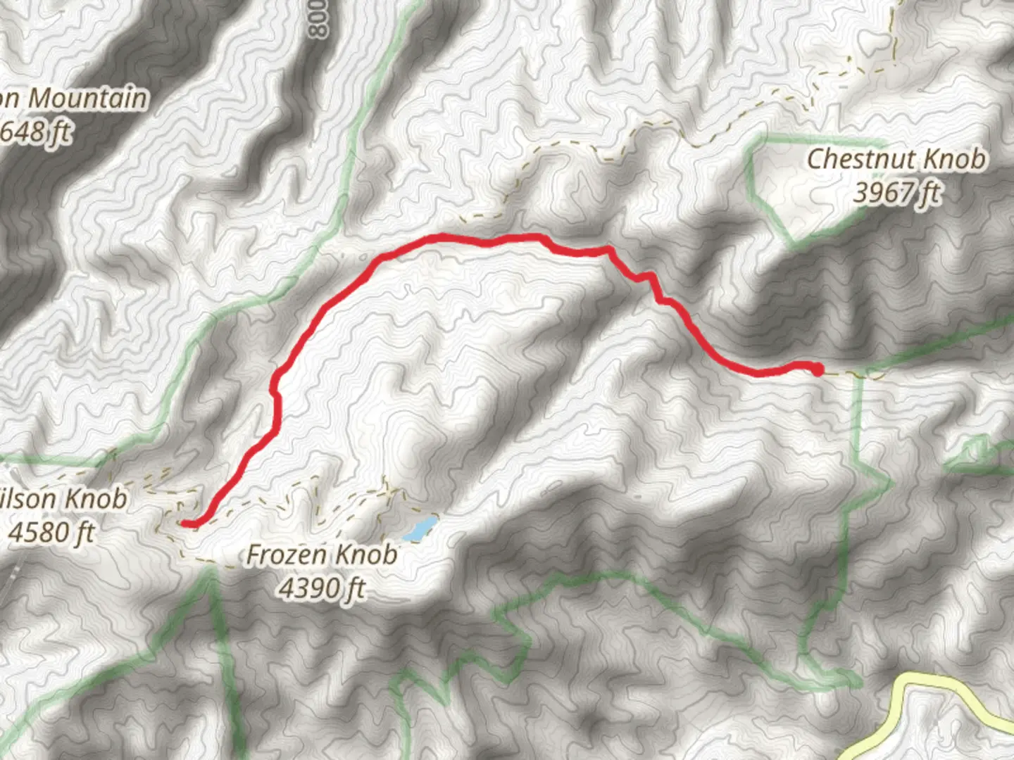 An image depicting the trail Higgins Creek Trail and its surrounding area.