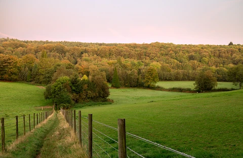 Hurt Wood Loop via Somerset Hill and Holmbury Hill