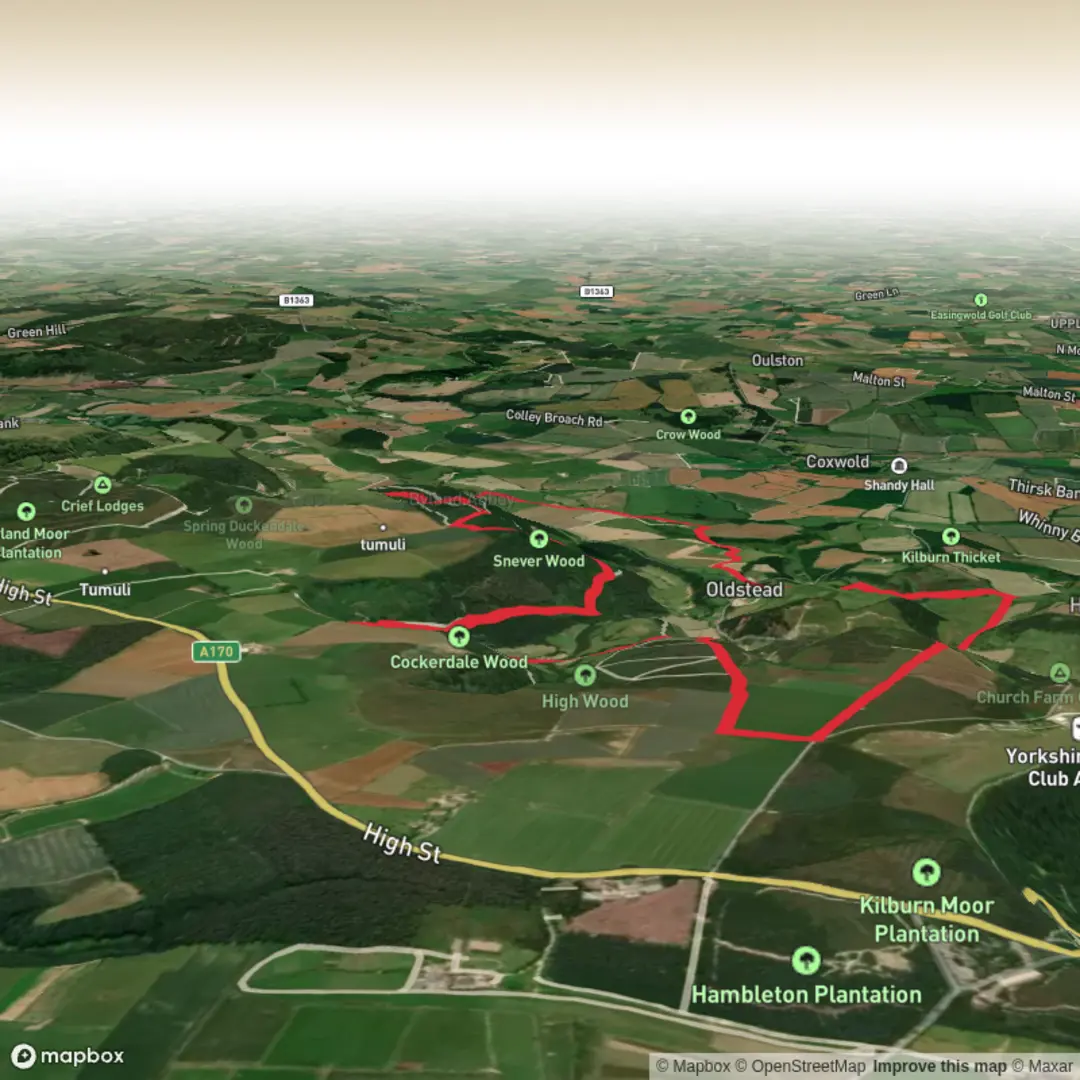 An image depicting the trail Byland Abbey and its surrounding area.