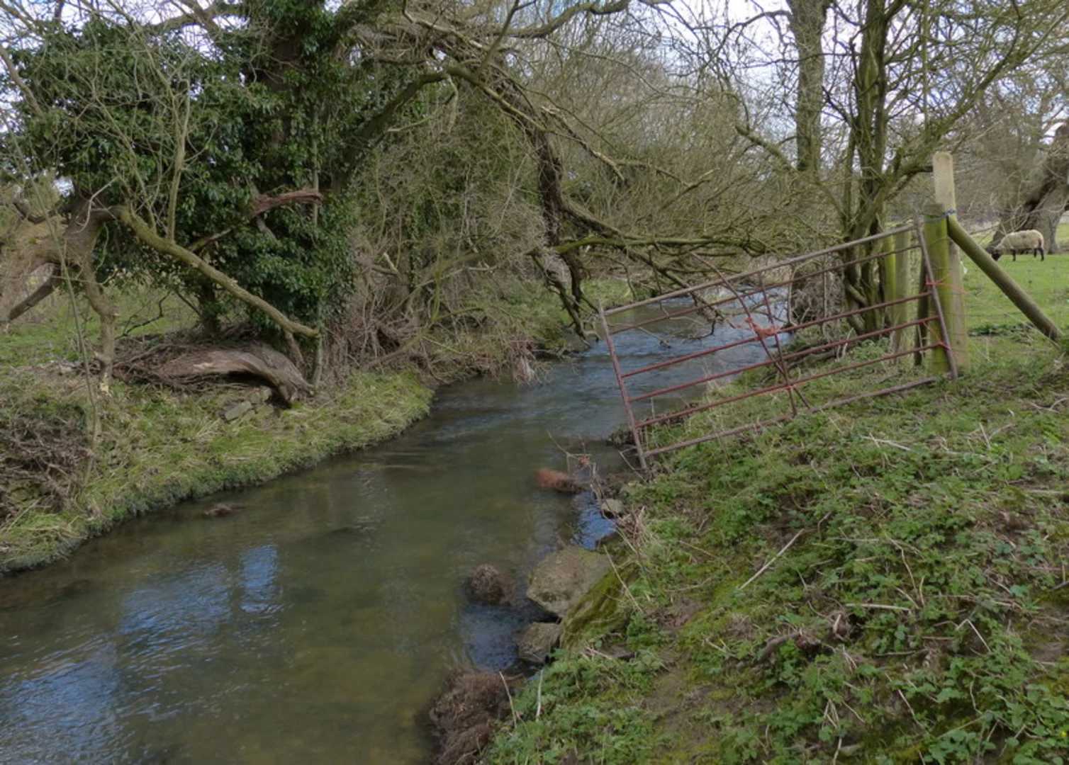 An image depicting the trail Wymark Spinney and North and South Luffenham and its surrounding area.