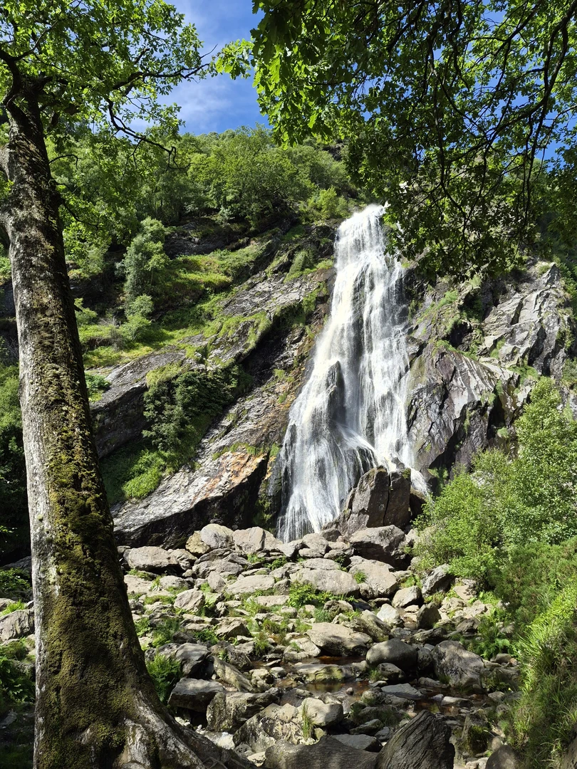 An image depicting the trail Enniskerry to Kilmacanoge and its surrounding area.