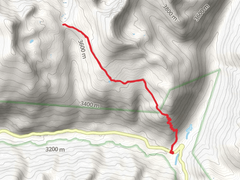 Lost Man Campground Trail